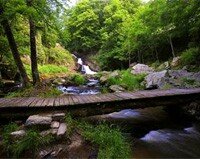 Les cascades de Mortain